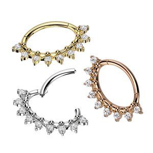 High Quality Precision 316L Surgical Steel Oval Hinged Segment Ring with Front F